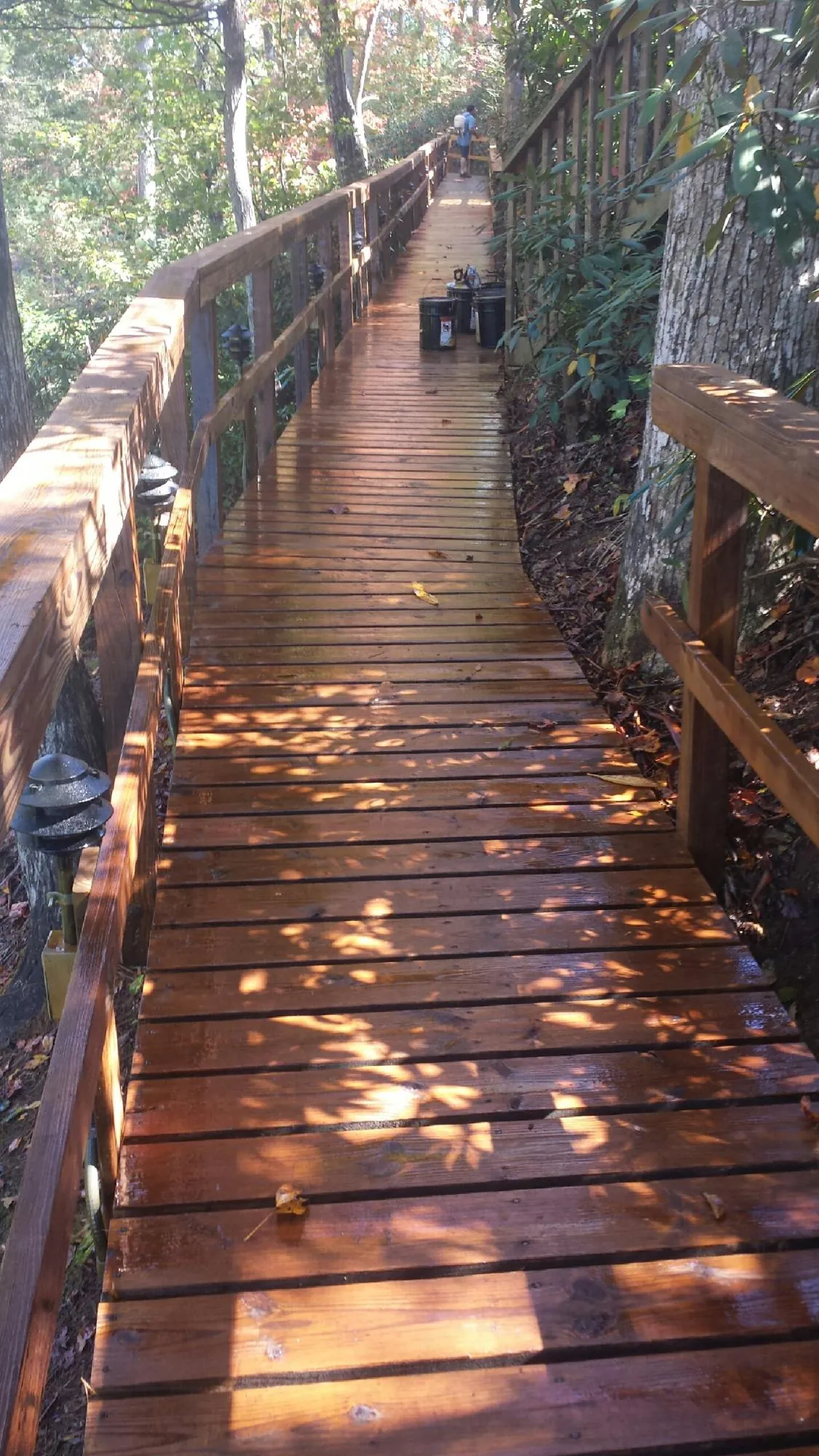 Freshly stained wood walkway winding through the woods in Norwich